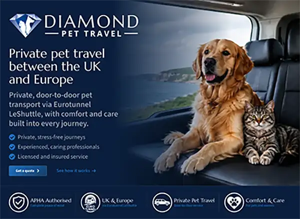Castle Hill Design Website example